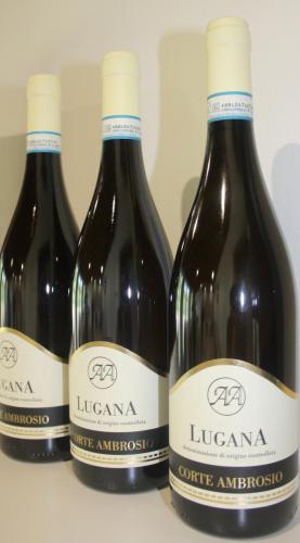 lugana2